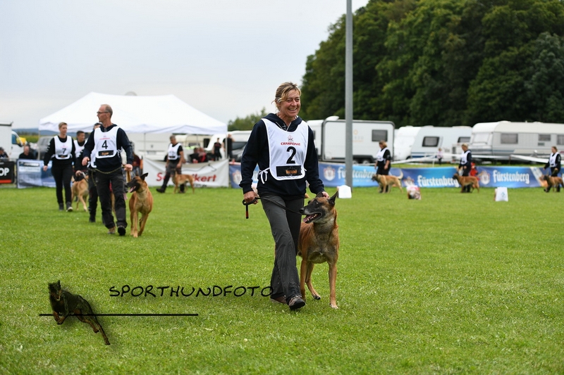 Impressionen 657.jpg